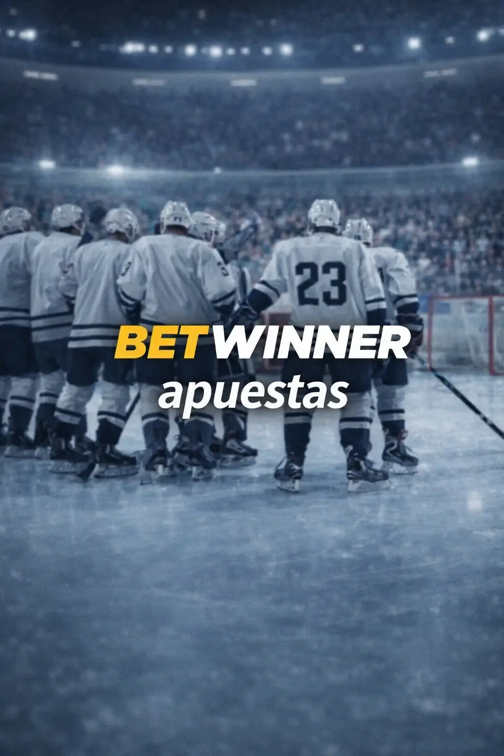 Opiniones de Jugadores Argentinos sobre Betwinner
